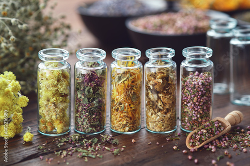 Glass bottles of medicinal herbs - helichrysum, wild marjoram; calendula, daisies, heather,  bunches of dry plants, bowls of herbs on background. Alternative medicine. photo