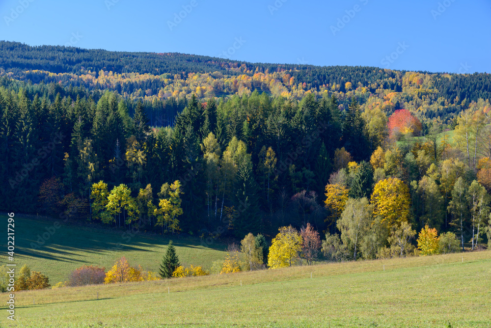 Fototapeta premium autumn in Sumava, Sumava National Park, Czechia