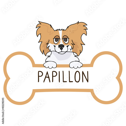 Cute cartoon Papillon on collar dog tag vector clipart. Purebred doggy identification medal for pet id. Domestic dog for pet pooch. 