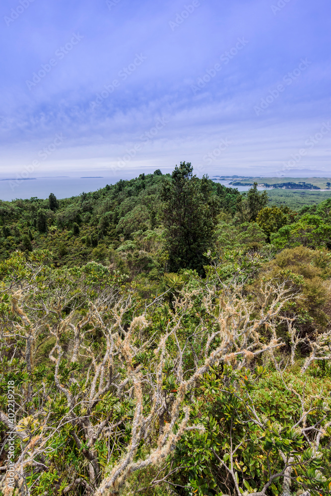View of Auckland Region and Hauraki Gulf in New Zealand View of Auckland Region and Hauraki Gulf in New Zealand