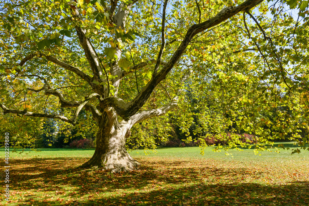 autumn in Jesniky, Jeseniky, northern Moravia, Czechia