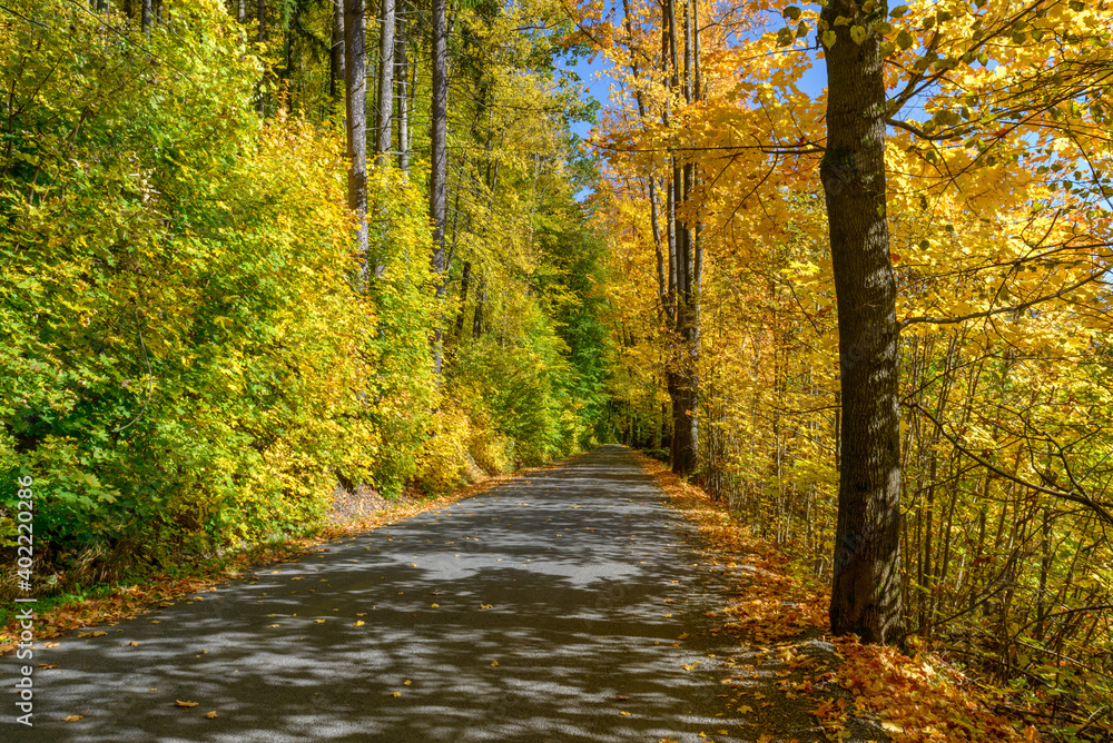 autumn in Jesniky, Jeseniky, northern Moravia, Czechia