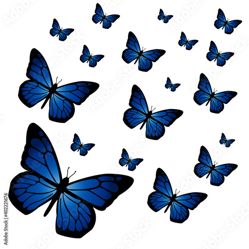set of blue butterflies