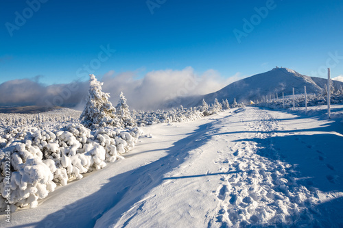 Fototapeta Naklejka Na Ścianę i Meble -  amazing winter landscape in sunny day in Karkonosze mountains in Poland