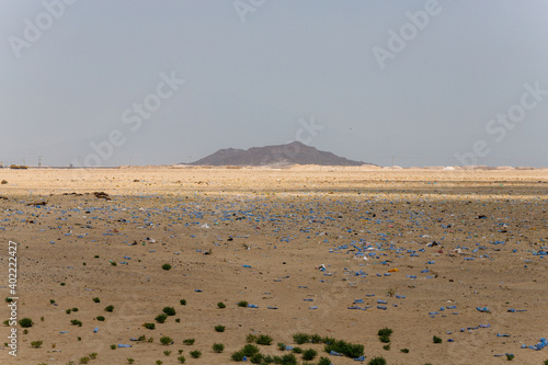 camels in the desert plastic waste
