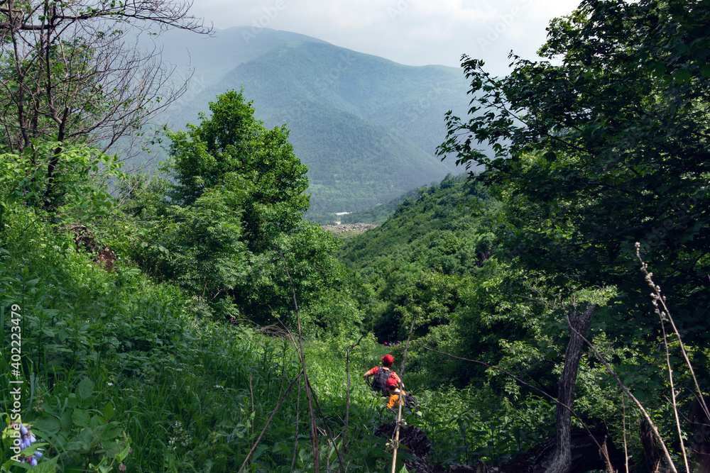 People in a hike in armenian mountains covered with forest in summer