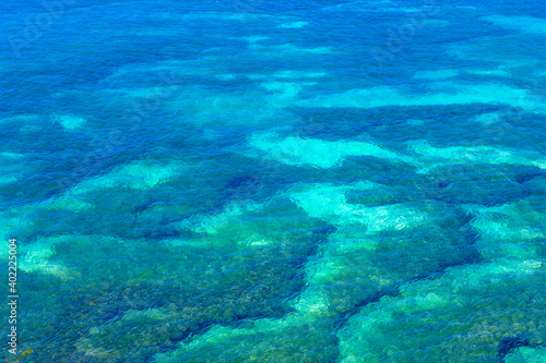 coral reef in the blue sea