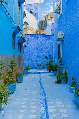 Traditional blue street decorated with flower pots in medina of Chefchaouen, Morocco © Вера Тихонова