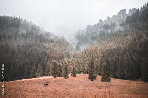 Fototapeta Naklejka Na Ścianę i Meble -  Góry