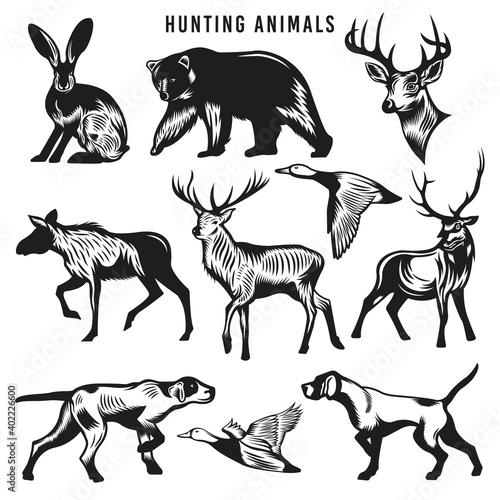 Vintage hunting animals collection