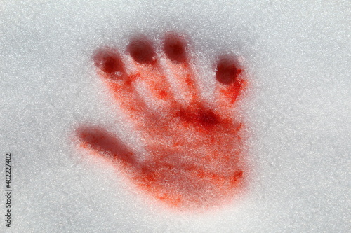 Bloody Handprint in the Snow
