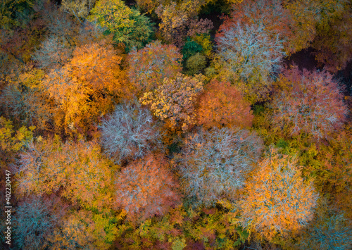 Autumn for aerial