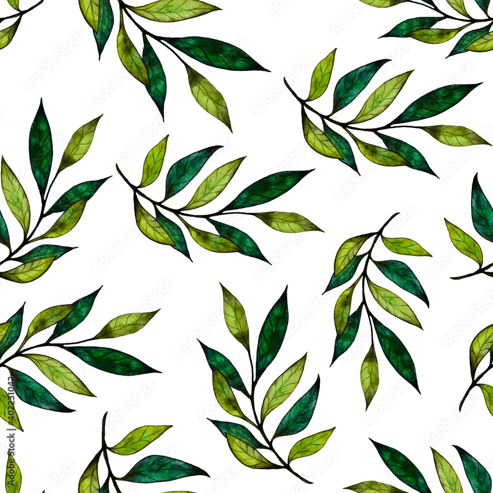 pattern of green tea stems on a white background