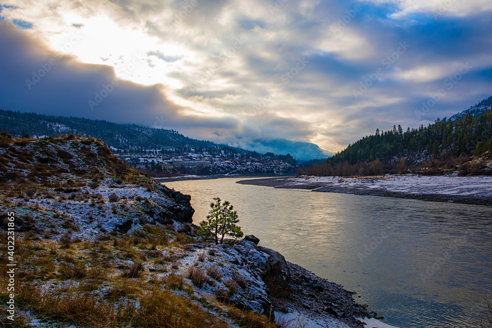 Lone green tree along Fraser River in snowy canyon