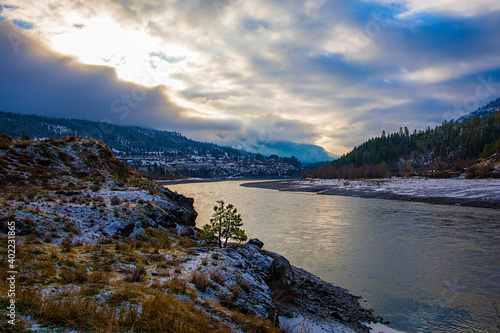 Obraz na płótnie Lone green tree along Fraser River in snowy canyon w salonie