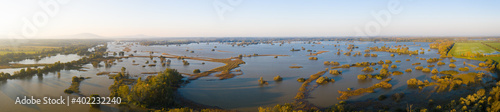 Fotografia Panoramic scenery with flooded meadows and forest in riparian zone
