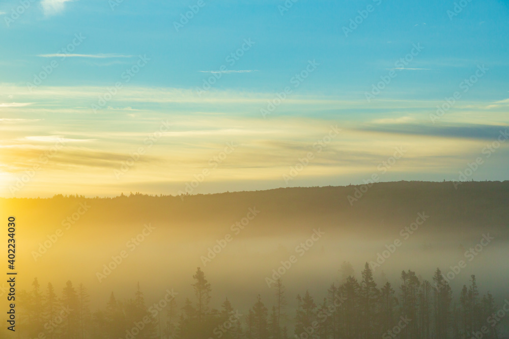 A warm, early morning, sunrise rolls over a dense fog covered forest
