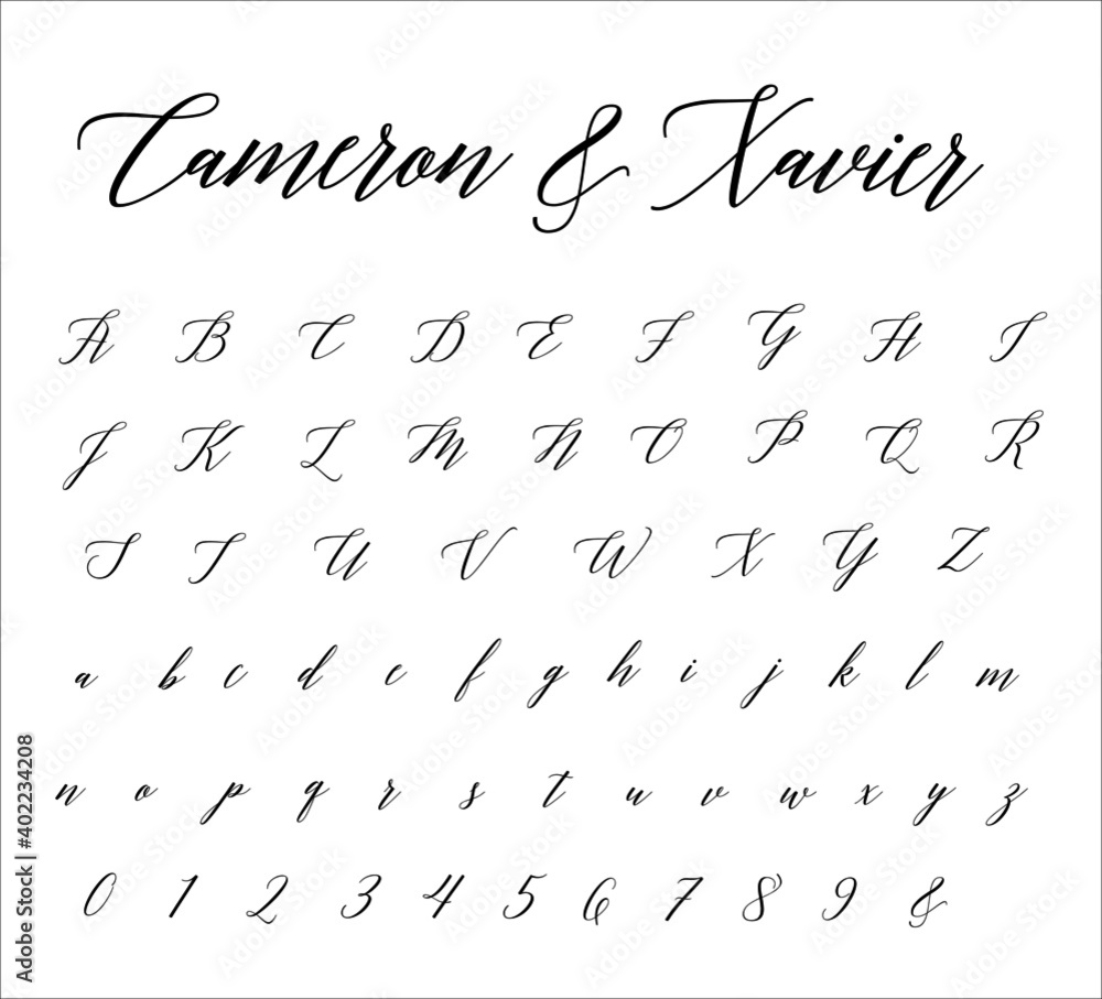 Script Brush Cursive Alphabet Vector Handdrawn Font Stock Vector Adobe Stock
