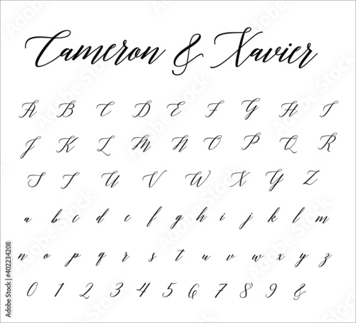 Script Brush Cursive Alphabet  Vector Hand-drawn Font 