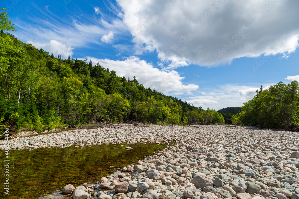 The clear waters of Acadian forest flow between the banks of a river  in Nova Scotia
