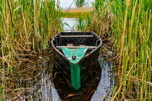 Old boat moored in the thicket of reeds