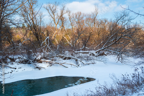 Winter landscape of a snowy forest with a small creek in Canadian nature