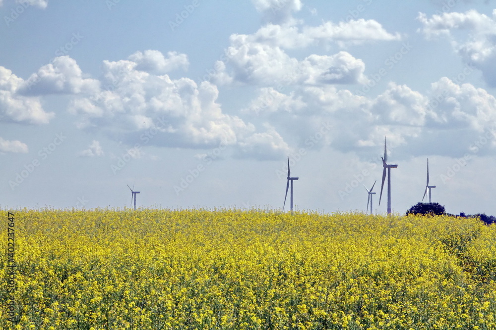 The wind turbines are working. Fields sown with agricultural crops. Green grass. Huge territory. Forest belt. Cloudy sky. Day. Summer. Russia. The wind turbines are working. Fields sown with agricultural crops. Green grass. Huge territory. Forest belt. Cloudy sky. Day. Summer. Russia.