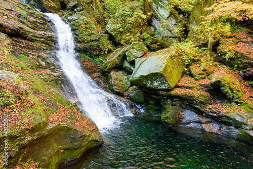 高知県は瀬戸川渓谷の紅葉と滝