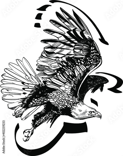 eagle with wings