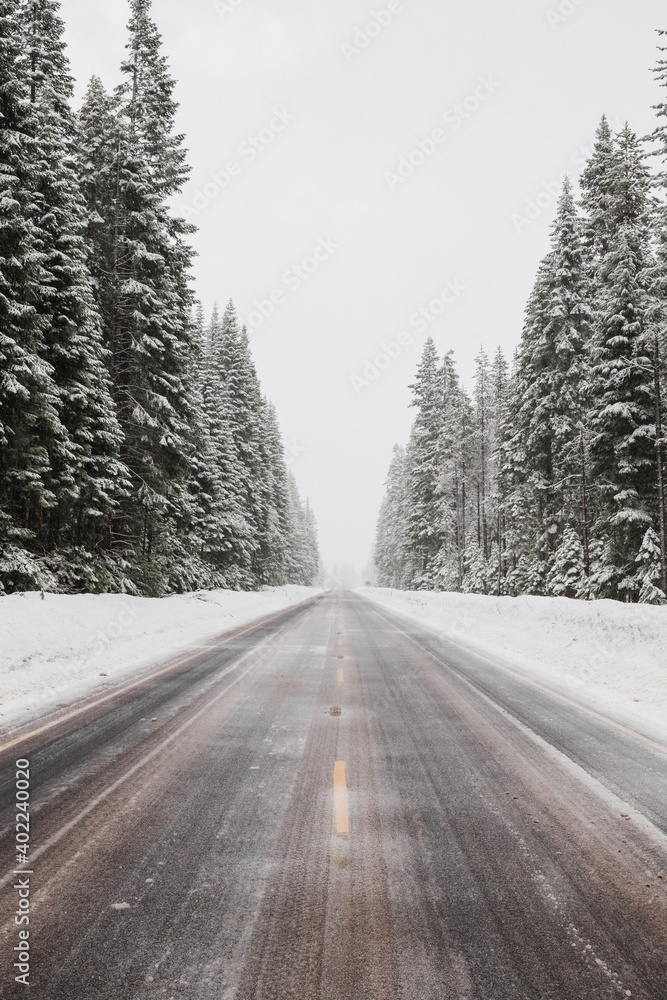 Vertical shot of empty winter road in Umpqua National Forest, Oregon Vertical shot of empty winter road in Umpqua National Forest, Oregon