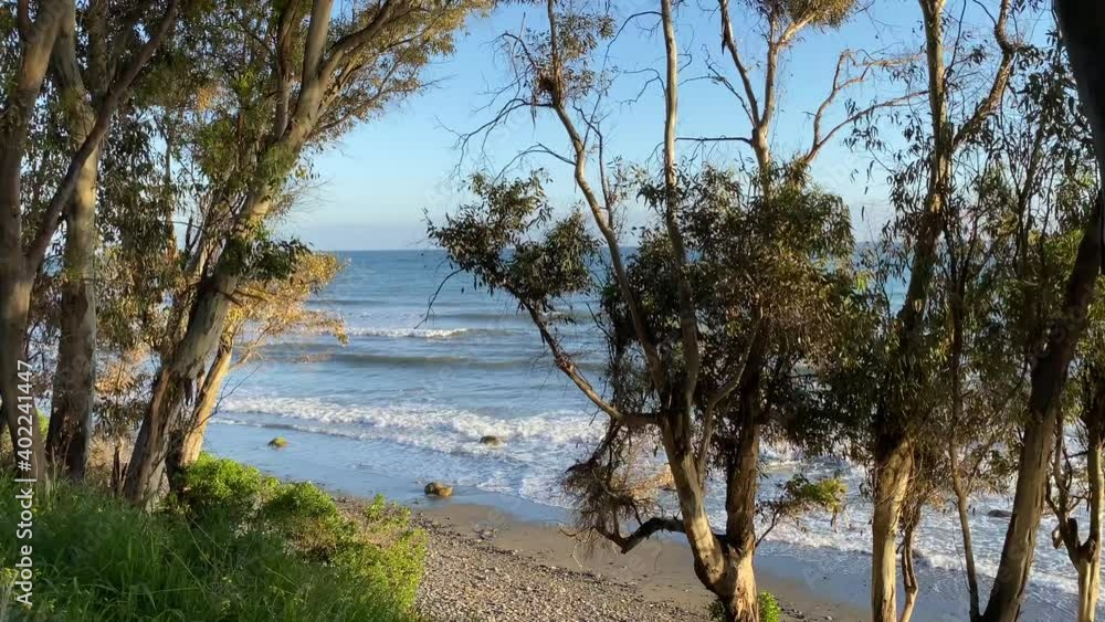 Beautiful holiday destination sea view with sand trees and blue sky in Marbella Estepona Spain, 4K static shot Beautiful holiday destination sea view with sand trees and blue sky in Marbella Estepona Spain, 4K static shot