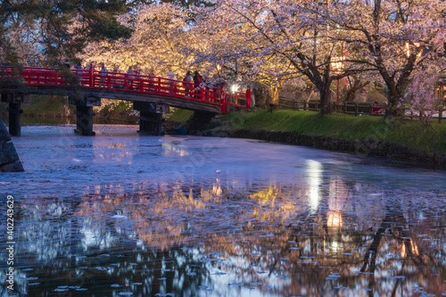 弘前公園の桜　花筏