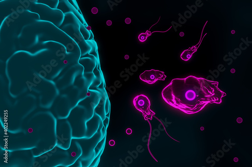 Photos Brain-eating amoeba infection, naegleriasis