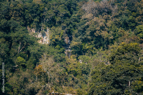 A beautiful mountain forest landscape on a clear sunny day