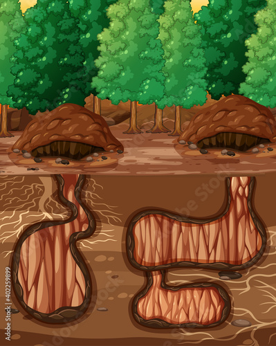 Empty underground animal hole