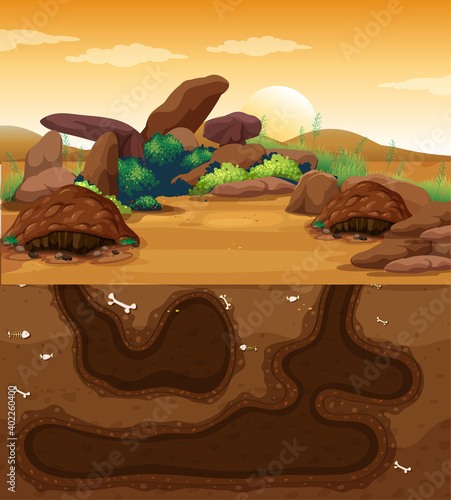 Empty underground animal hole