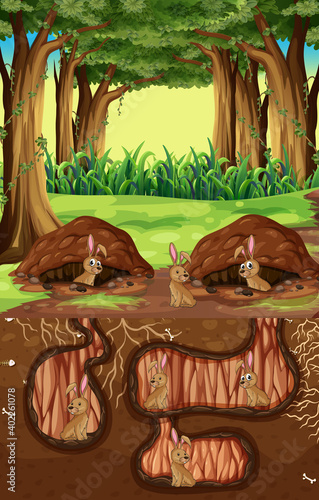 Underground animal hole with many brown rabbits