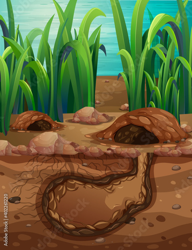 Empty underground animal hole