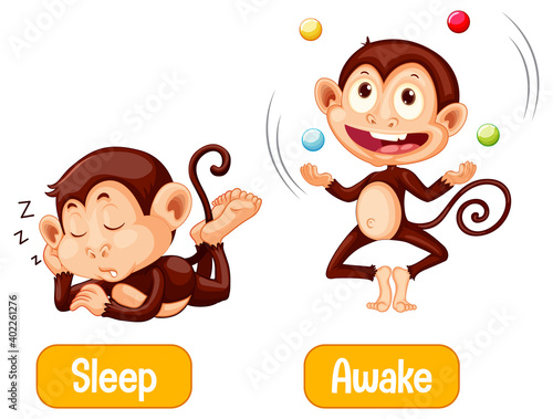 Opposite words with sleep and awake