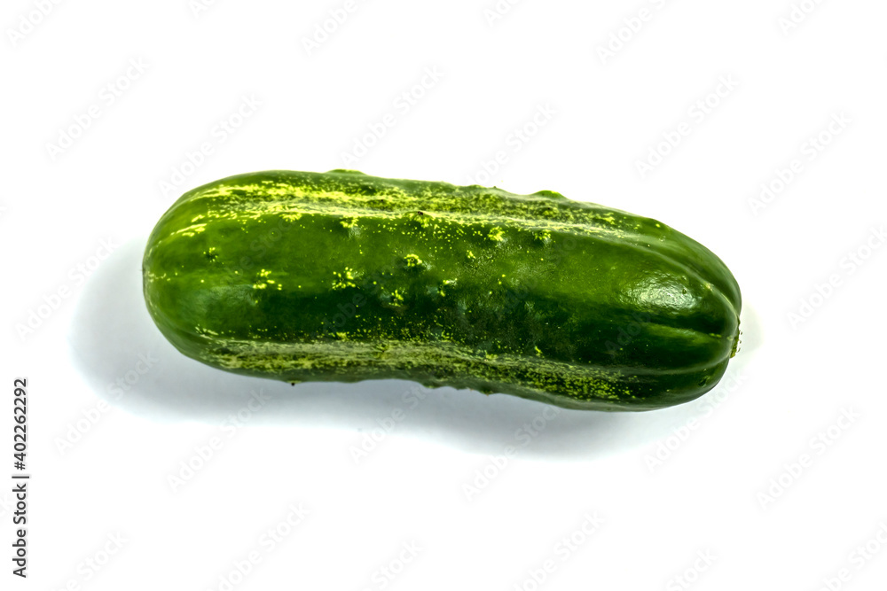 Stock Foto Closeup of cucumber isolated on white background Stock Foto Closeup of cucumber isolated on white background