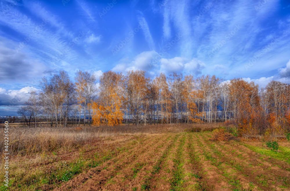 autumn landscape with trees and clouds