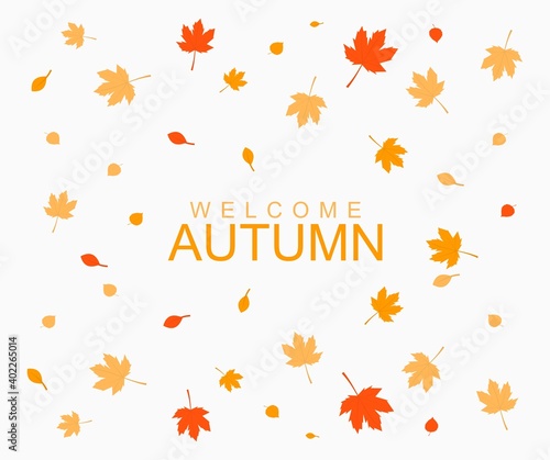 Autumn leaves background flat design