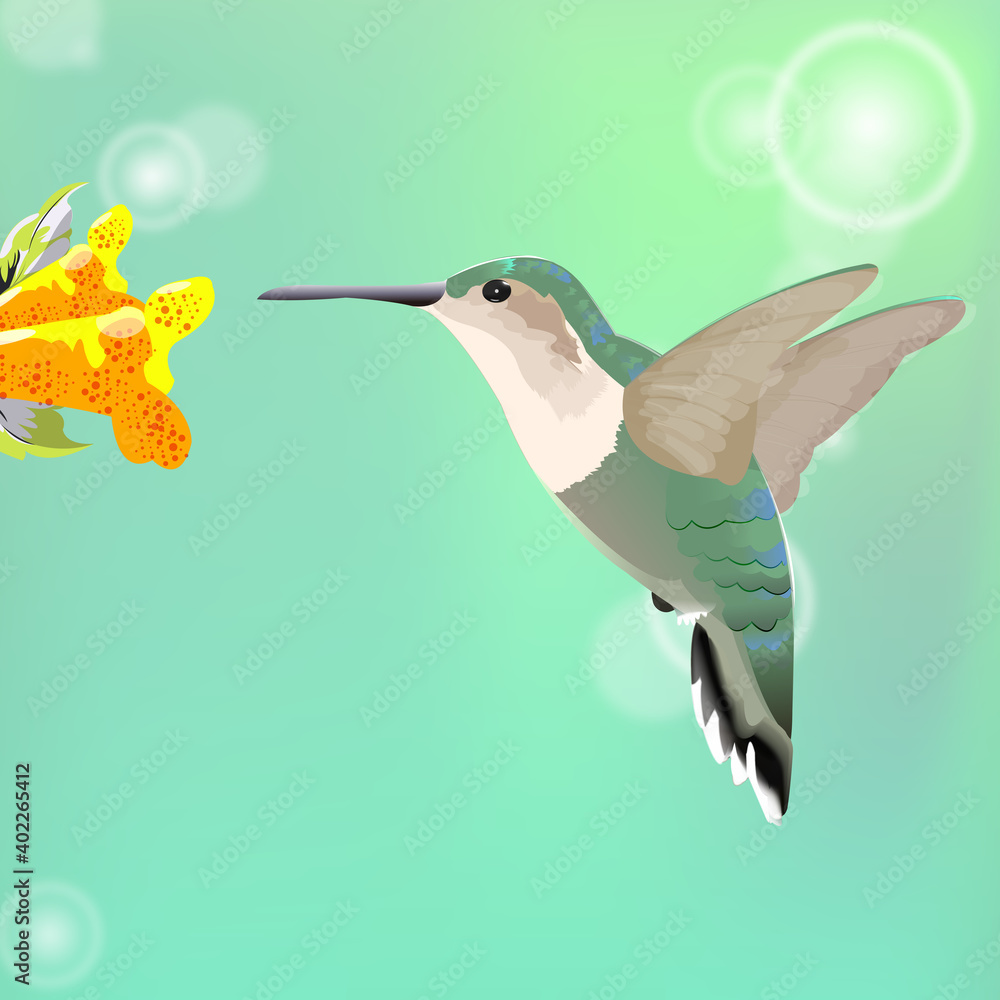 Fototapeta premium Vector design of green hummingbird and green glitter orange flower background