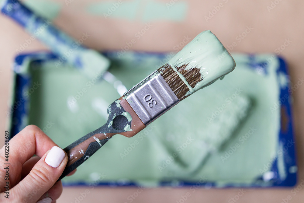 a brush with green construction paint in a woman's hand in the foreground and a blue tray with light green paint, a wall paint roller in the background a brush with green construction paint in a woman's hand in the foreground and a blue tray with light green paint, a wall paint roller in the background