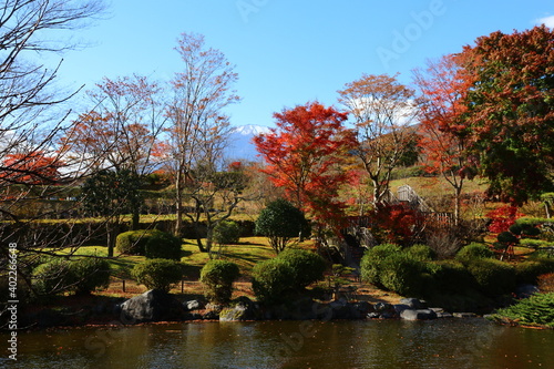 秋の冨士霊園　富士山のふもとにある冨士霊園は、霊峰冨士の眺めに加え手入れの行き届いた樹木に囲まれ、霊園ながら人々の憩いの場となっている。特に桜の名所として有名。