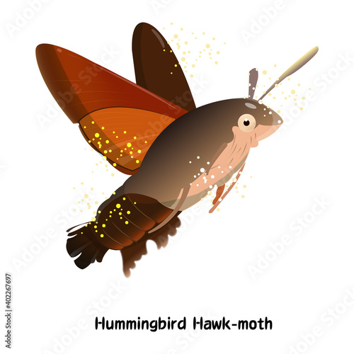 Vector design of Asian hummingbird moth and blue glitter red flower background