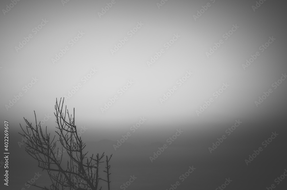 Obraz premium Mist over the sea