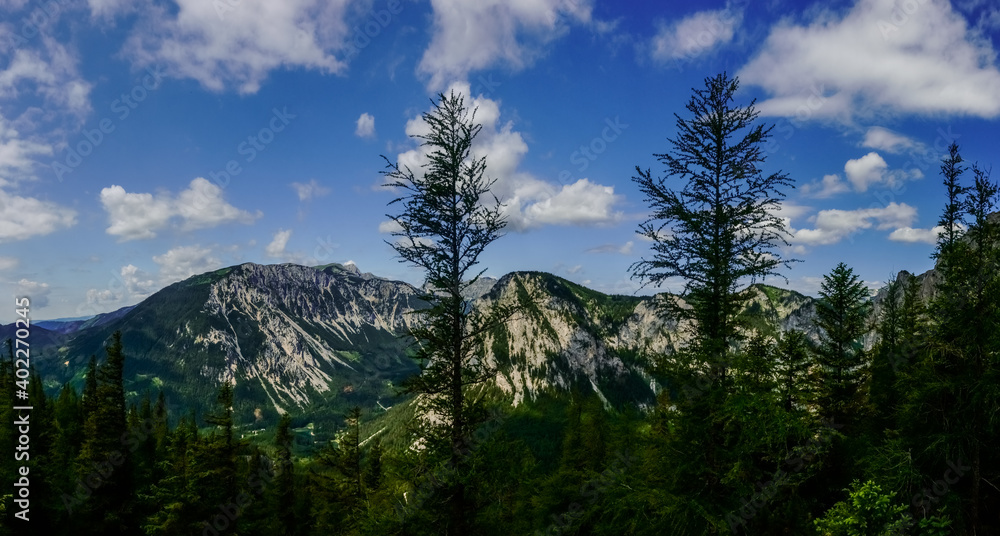 view to a beautiful mountain range with trees and sky panorama