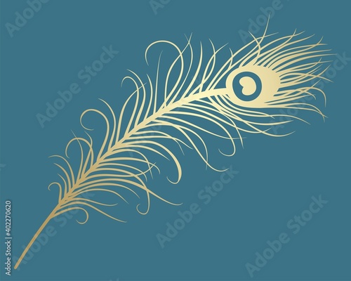 peacock feather, wedding card design, royal India	