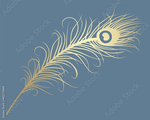 peacock feather, wedding card design, royal India	